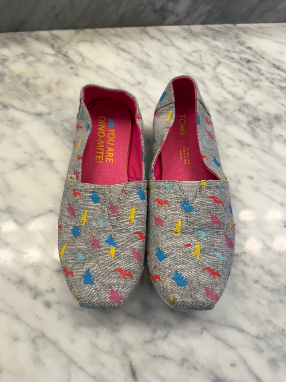 Toms Grey Canvas Slip-Ons with Multicolor Dinosaur Print and Pink Insole